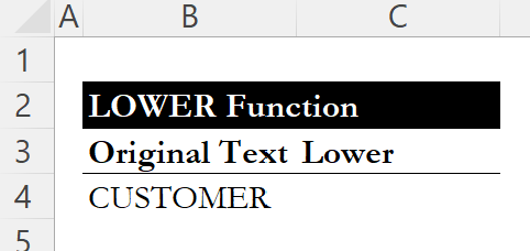 Cell showing CUSTOMER text